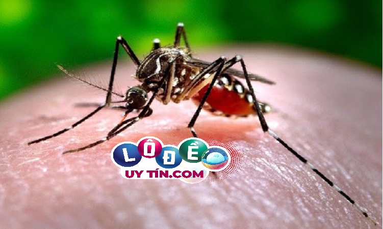 Giải đáp mơ thấy côn trùng, sâu bọ điềm gì, đánh con gì 3 mơ thấy côn trùng là điềm gì