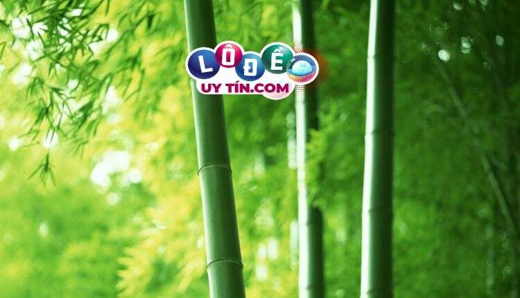 Nằm mơ thấy cây tre thì đánh con gì, là điềm báo gì? 3 mơ thấy cây tre đánh con gì, là điềm gì