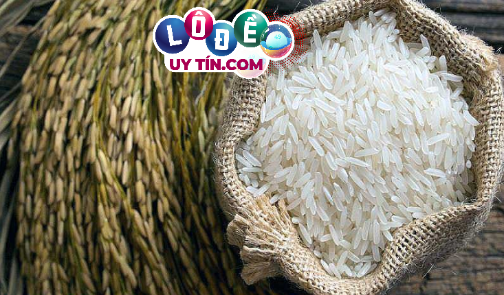 Mơ thấy lúa gạo là điềm gì, đánh số nào? 2 Mơ thấy lúa gạo là điềm gì, đánh số nào