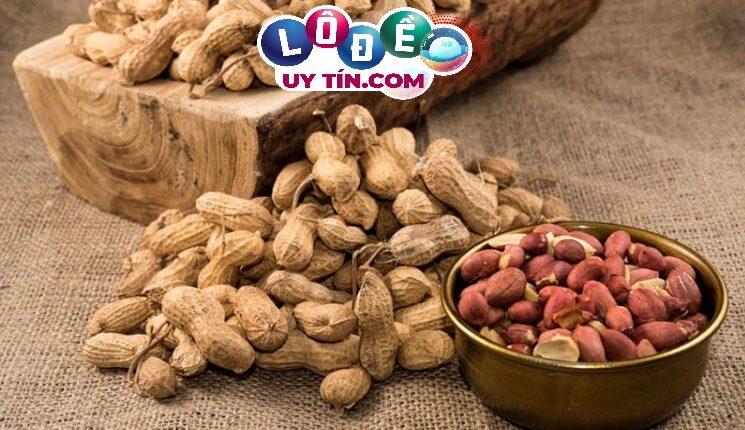 Chiêm bao mơ thấy đậu phộng đánh số gì? Lý giải điều gì? 2 Chiêm bao mơ thấy đậu phộng đánh số gì