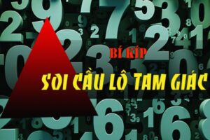 soi-cau-tam-giac-2