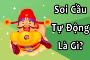 soi-cau-tu-dong-1