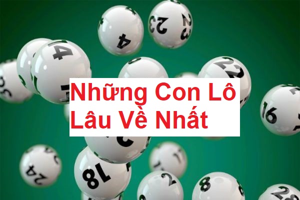 nhung-con-lo-lau-ve-nhat-1