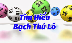 Cùng nhà cái XO88 khám phá cách nuôi lô bạch thủ hiệu quả