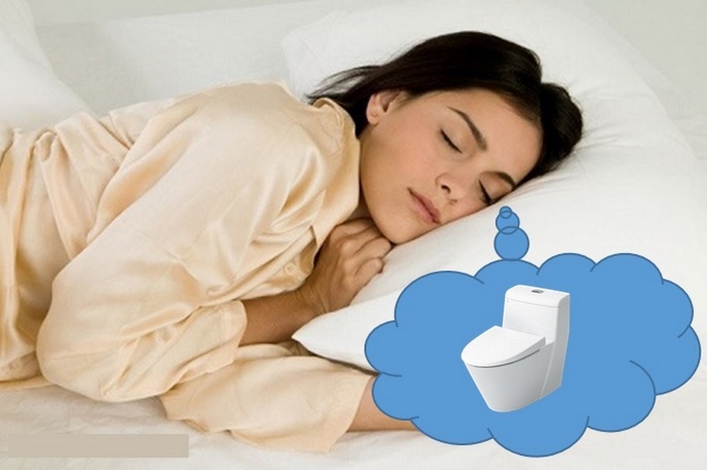 Mơ Chuồng Xí - Giải Mã Giấc Mơ Thấy Chuồng Xí Đánh Con Gì 2 Giấc mơ chuồng xí có ý nghĩa như thế nào?