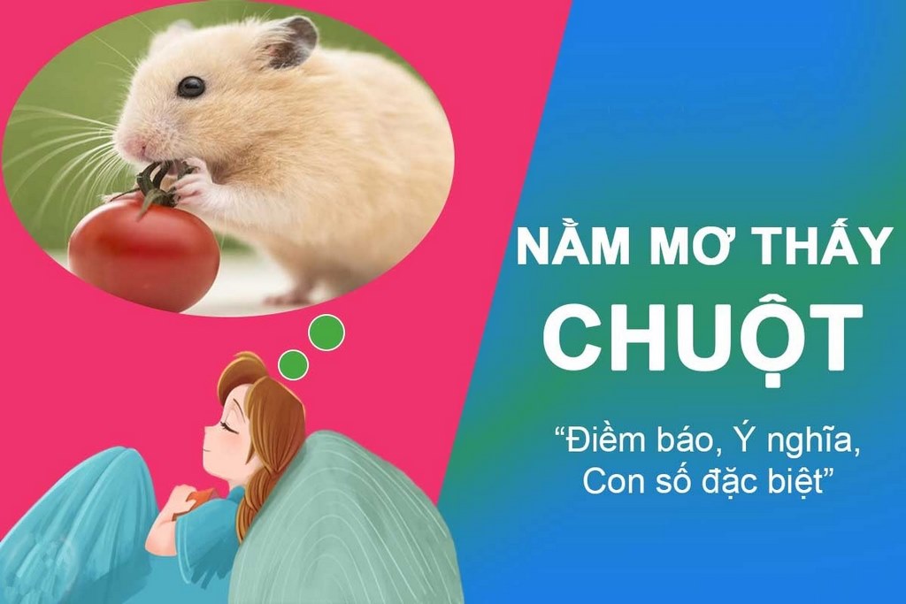 Điều cần biết khi mơ thấy chuột bạch