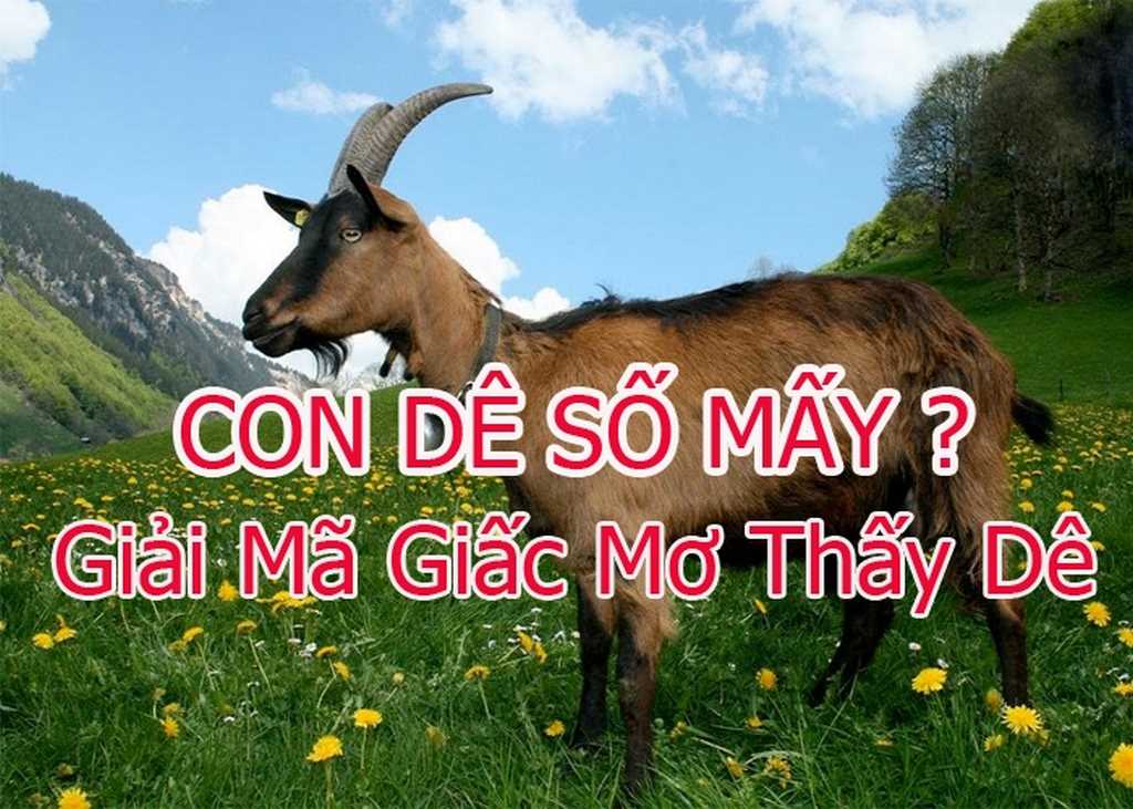 Mơ Con Dê - Trường Hợp Này Nên Đánh Con Gì Dễ Trúng? 4 Mơ Con Dê – Trường Hợp Này Nên Đánh Con Gì Dễ Trúng?