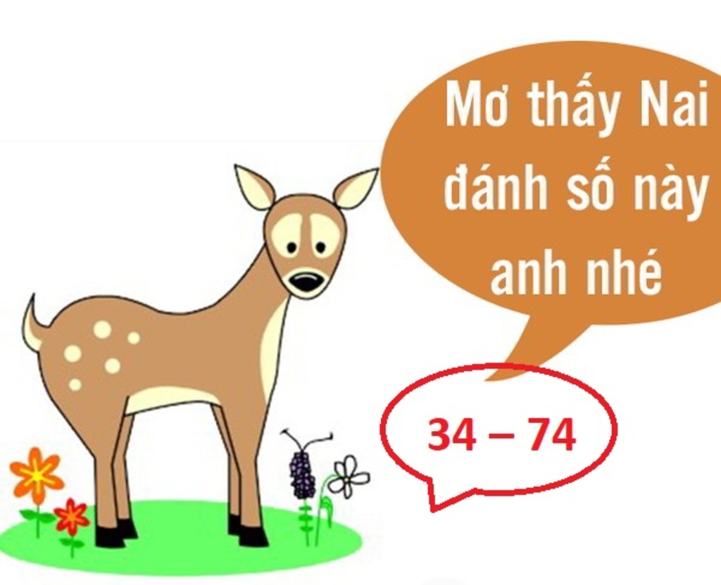 Đánh đề theo giấc mơ thấy con nai chuẩn xác