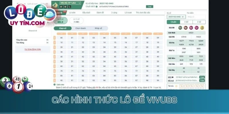 Các hình thức lô đề Vivu88 phổ biến nhất hiện nay