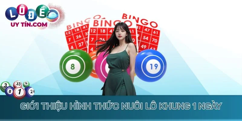Giới thiệu hình thức nuôi lô khung 1 ngày