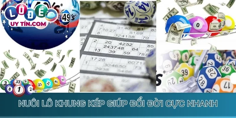 Nuôi lô khung kép giúp đổi đời cực nhanh