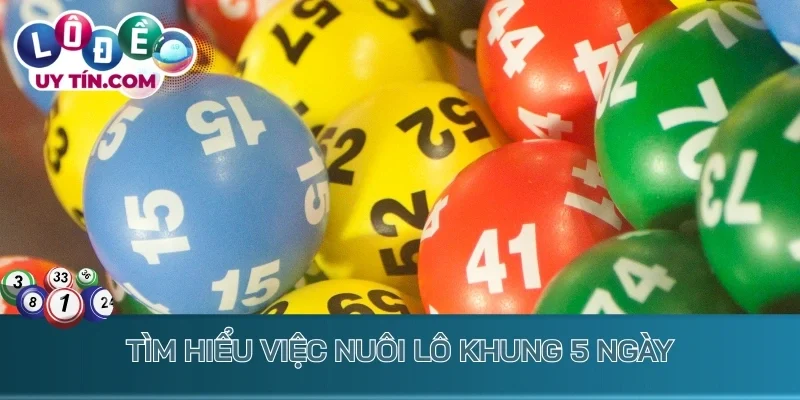 Nuôi lô khung 5 ngày - phương pháp chơi lô đề hiệu quả