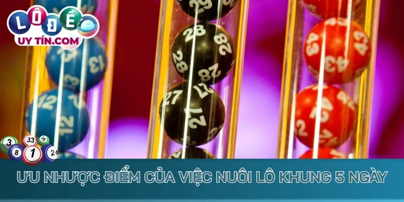 Ưu nhược điểm khi nuôi lô khung 5 ngày